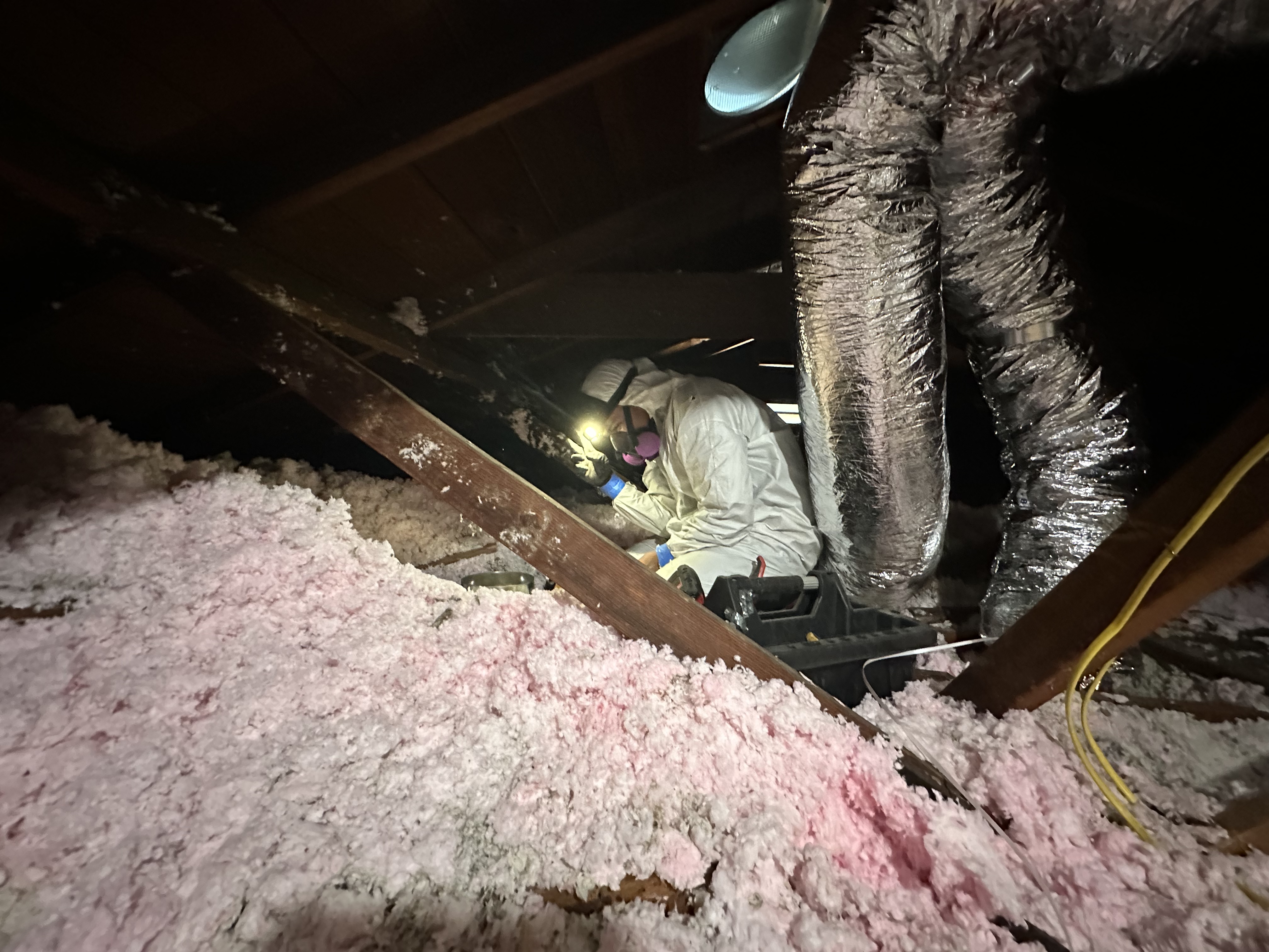 Insulation Services