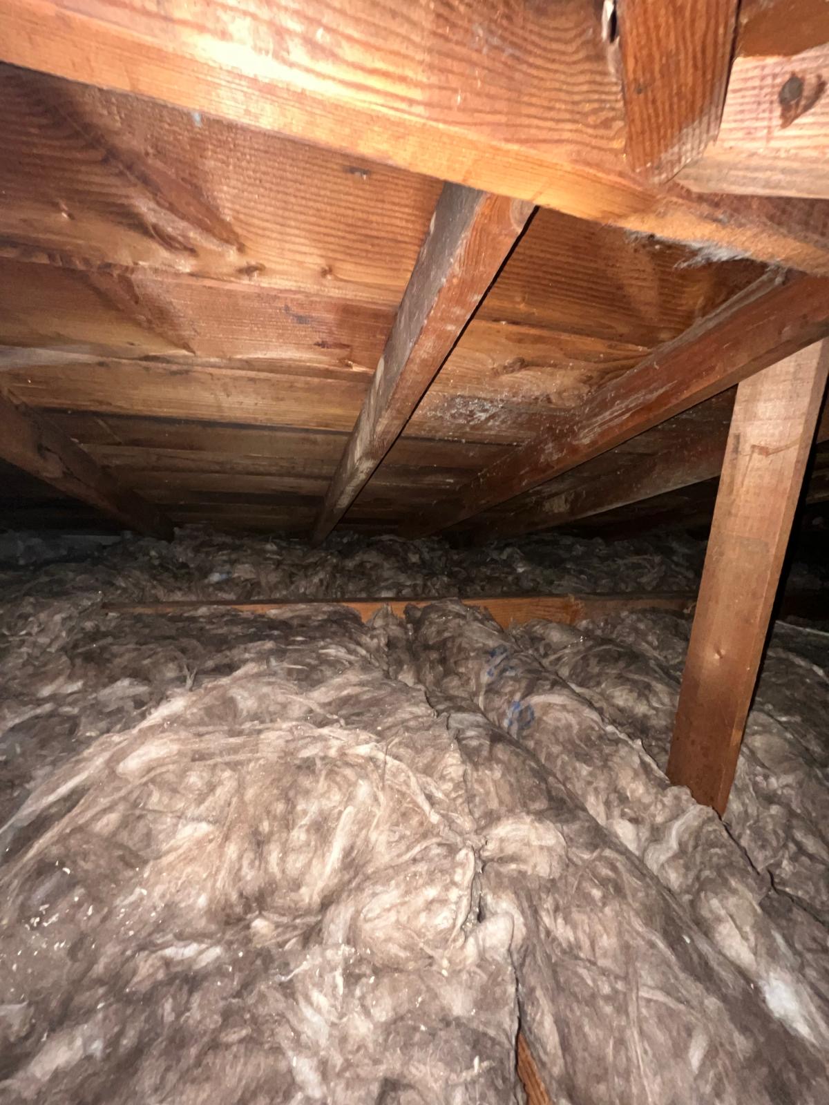 Insulation Services