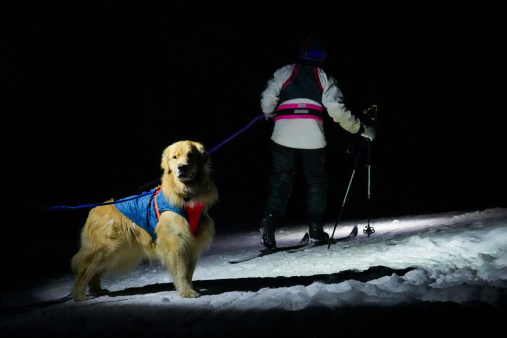 An athlete competing in athletic event sports outdoors