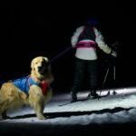 An athlete competing in athletic event sports outdoors