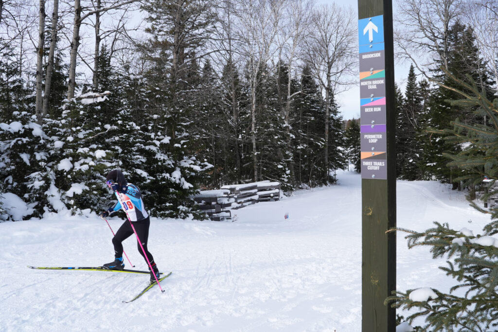 An athlete skiing in the snow