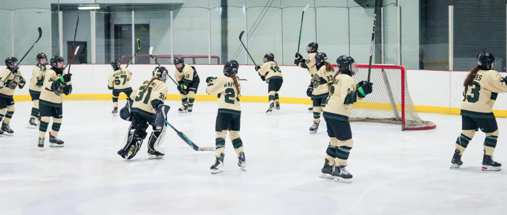 A group of athletes skating with helmet on the rink