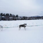 Two athletes competing in athletic event sports in the snow