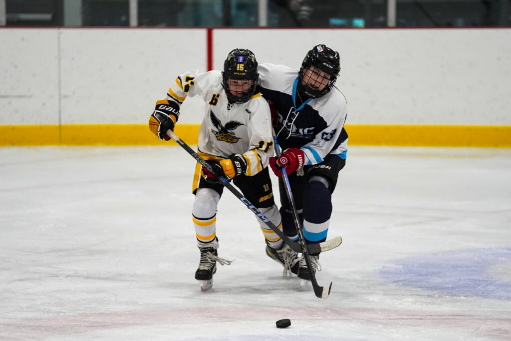 12U Boys Hockey 2026